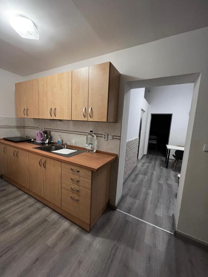 Mlynsky Ostrov Apartment 2 Zdice Εξωτερικό φωτογραφία